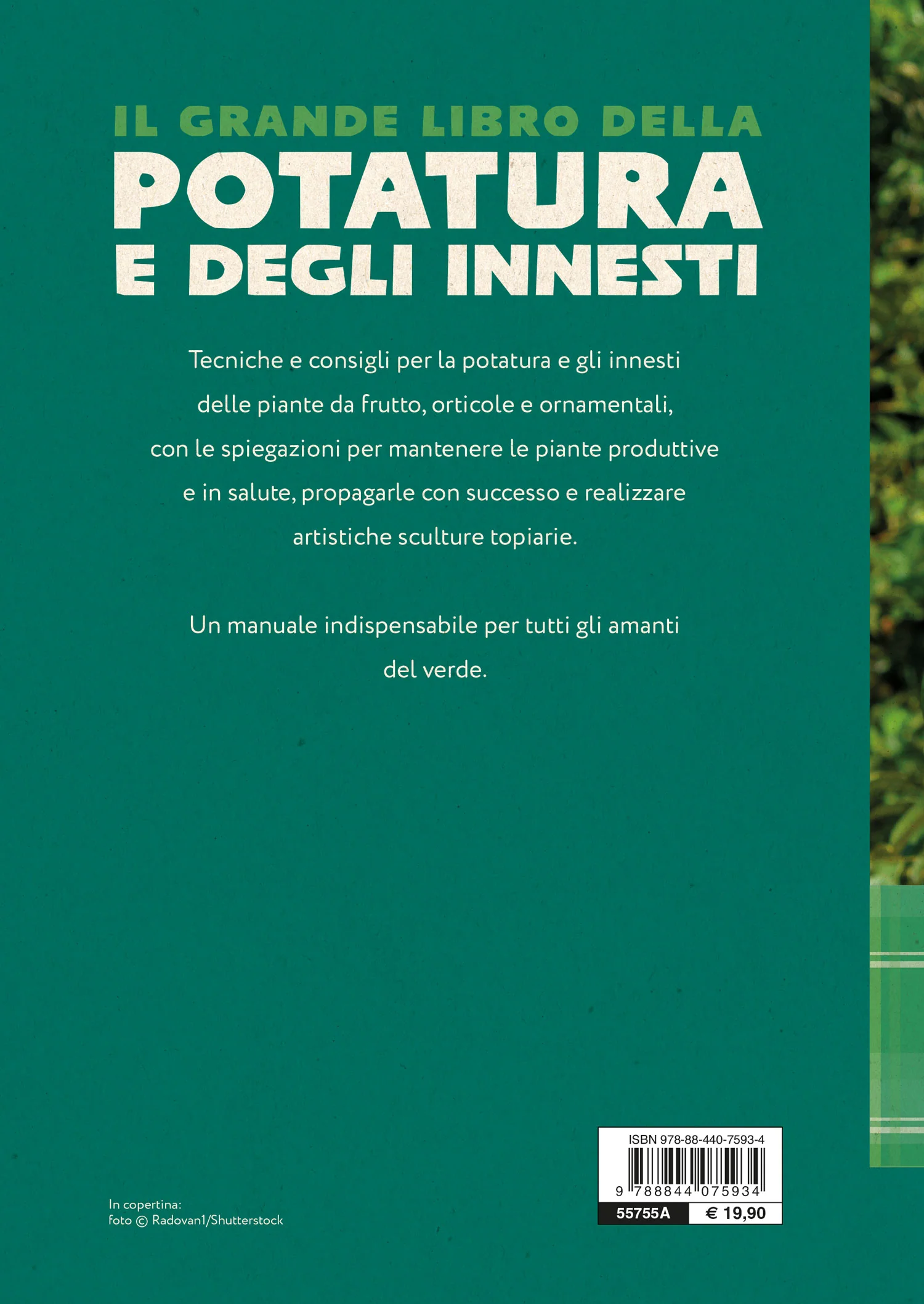 Immagine prodotto 2