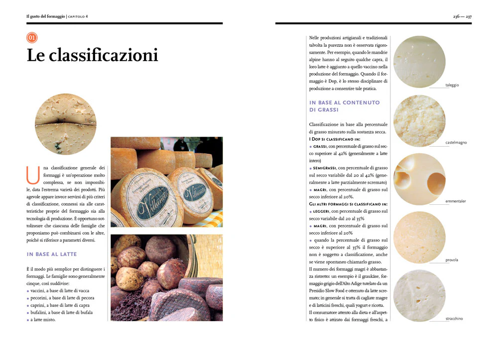 Immagine prodotto 6