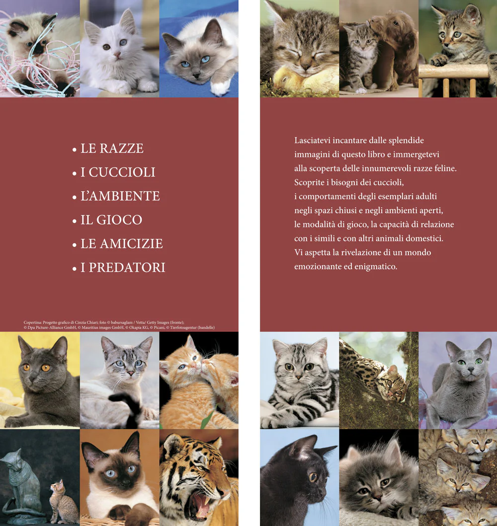 Immagine prodotto 3