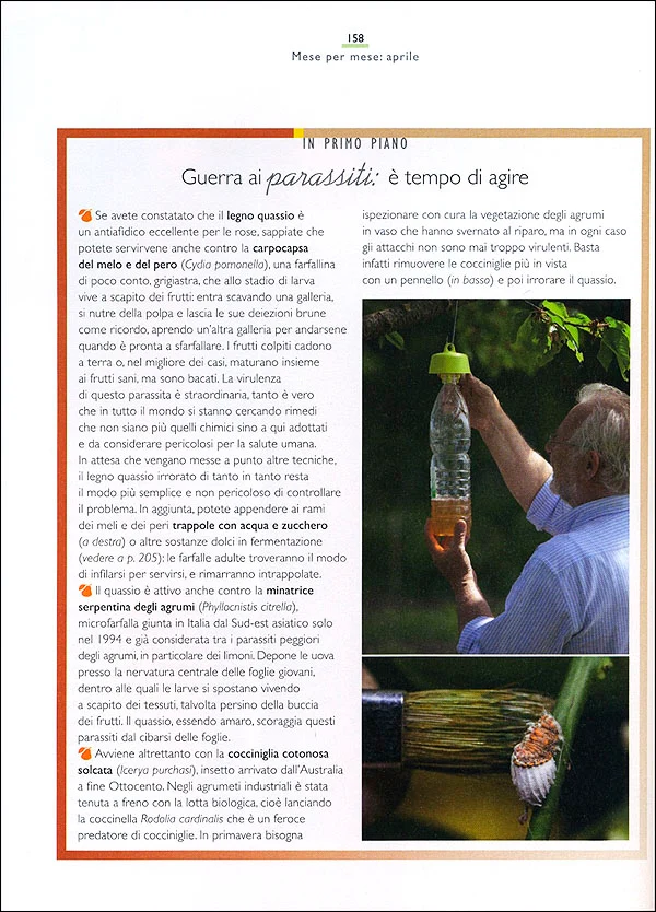 Immagine prodotto 3