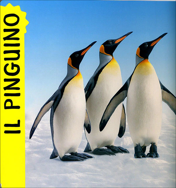 Immagine prodotto 3