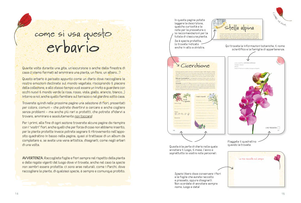 Immagine prodotto 3