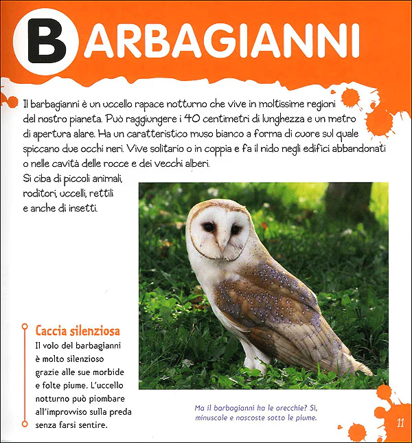 Immagine prodotto 3