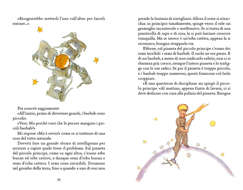 Immagine prodotto 4