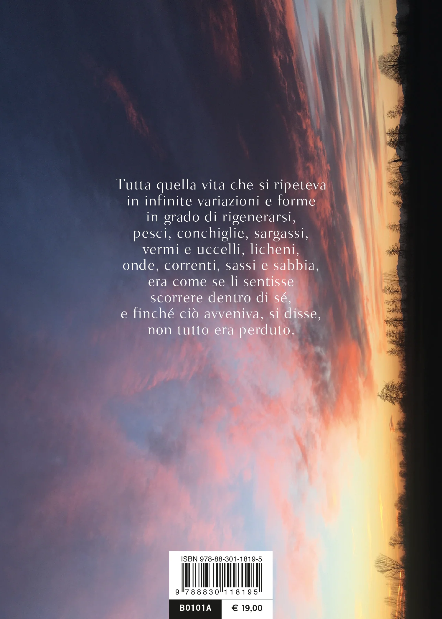 Immagine prodotto 2
