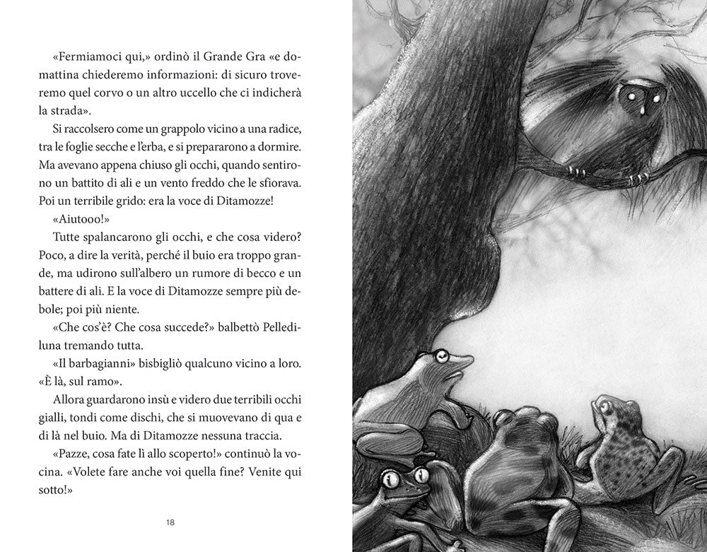 Immagine prodotto 5