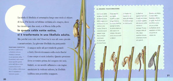 Immagine prodotto 3