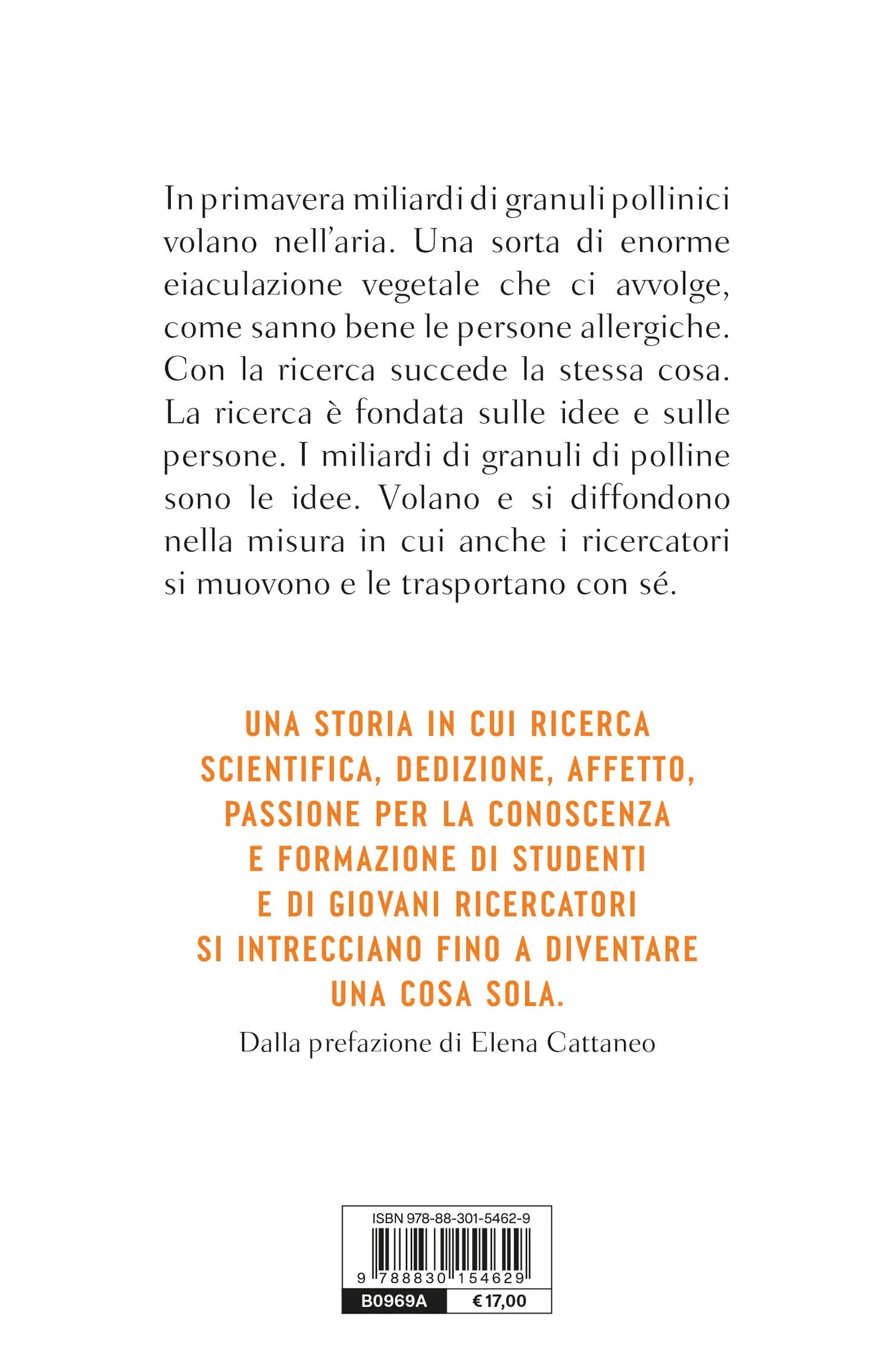 Immagine prodotto 2