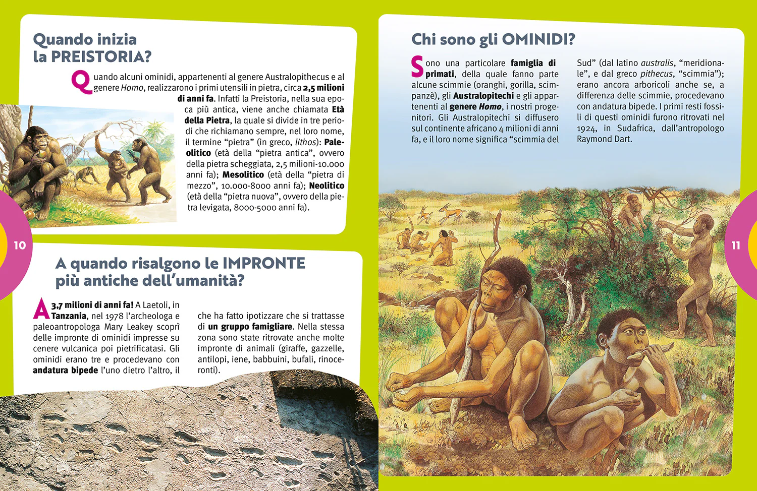 Immagine prodotto 3