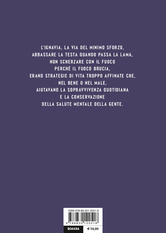 Immagine prodotto 2