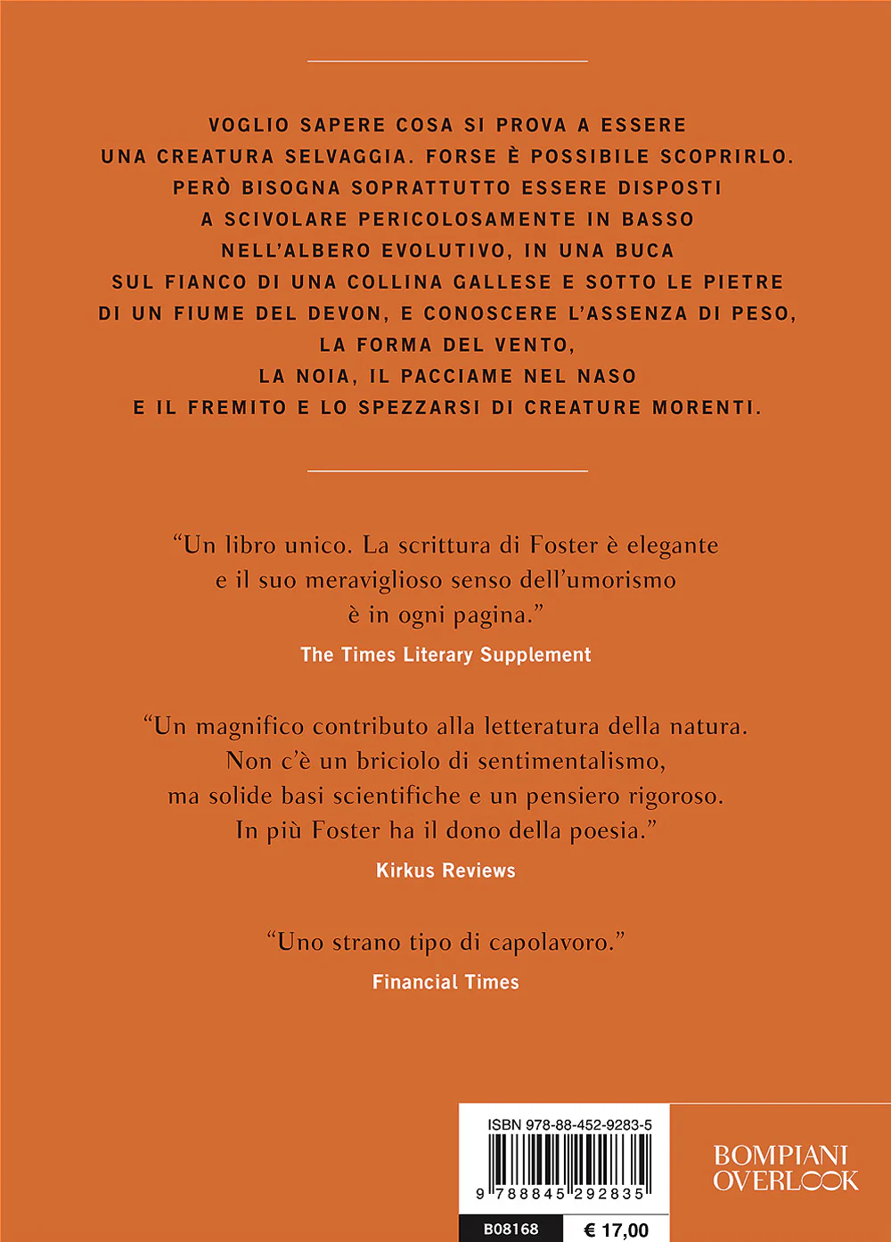 Immagine prodotto 2