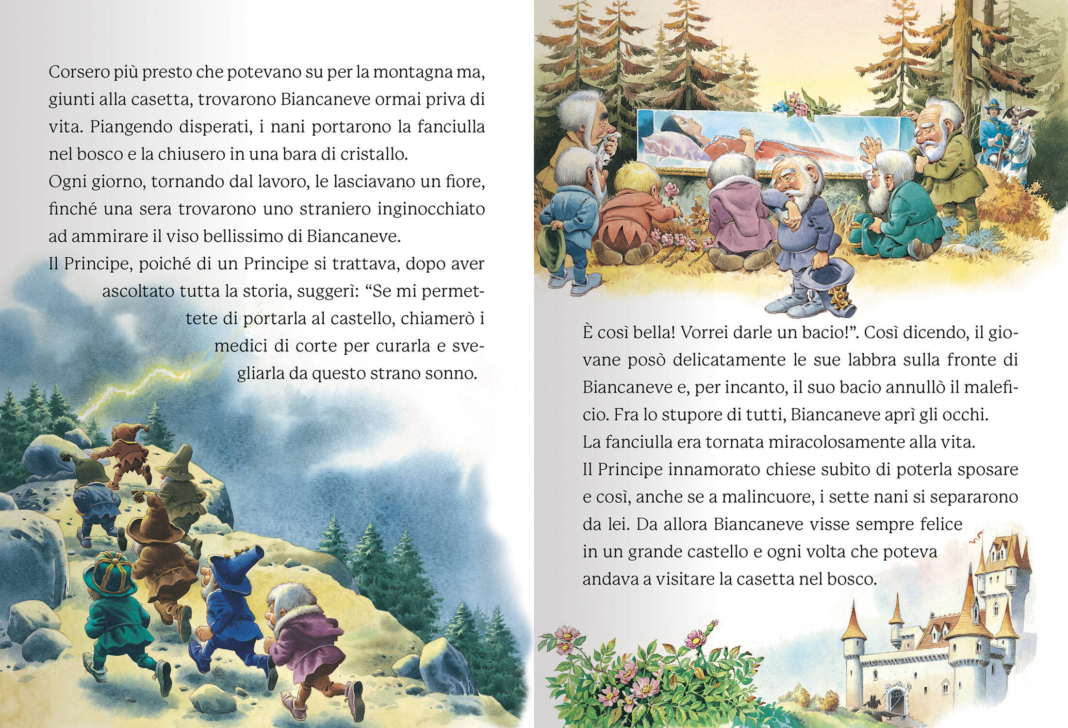 Immagine prodotto 4