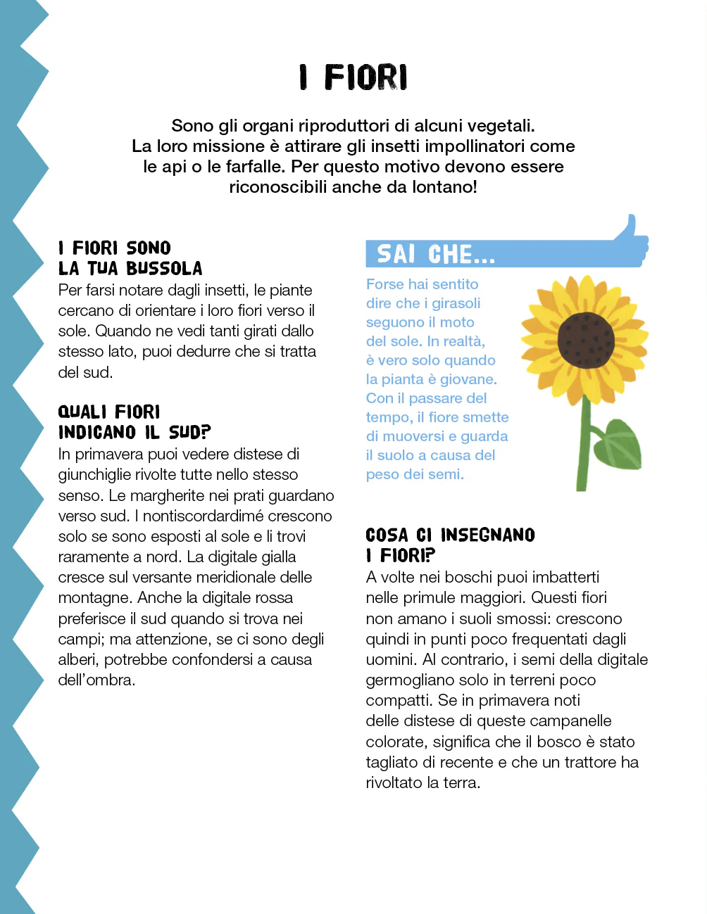 Immagine prodotto 4