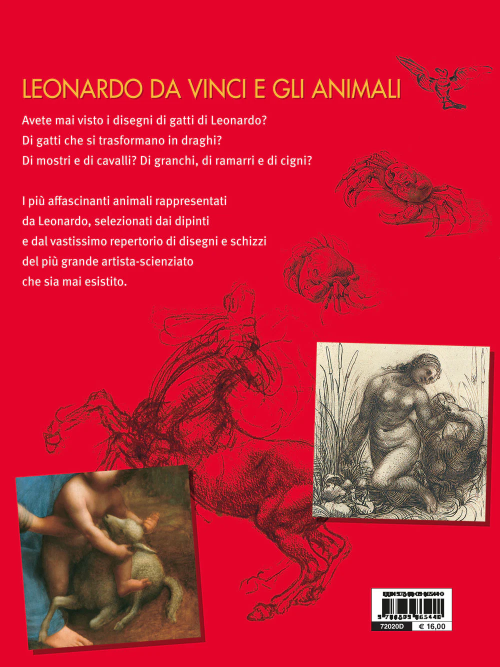 Immagine prodotto 2