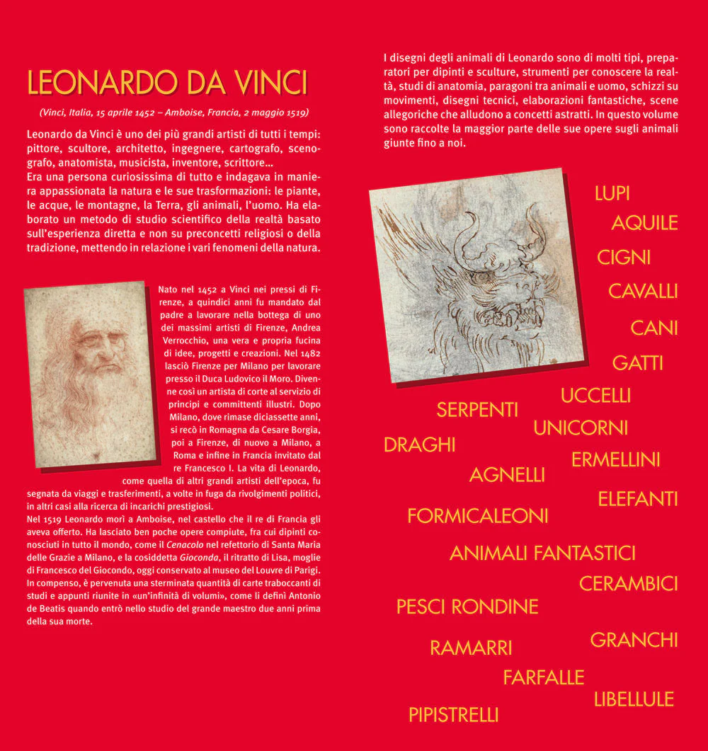Immagine prodotto 3