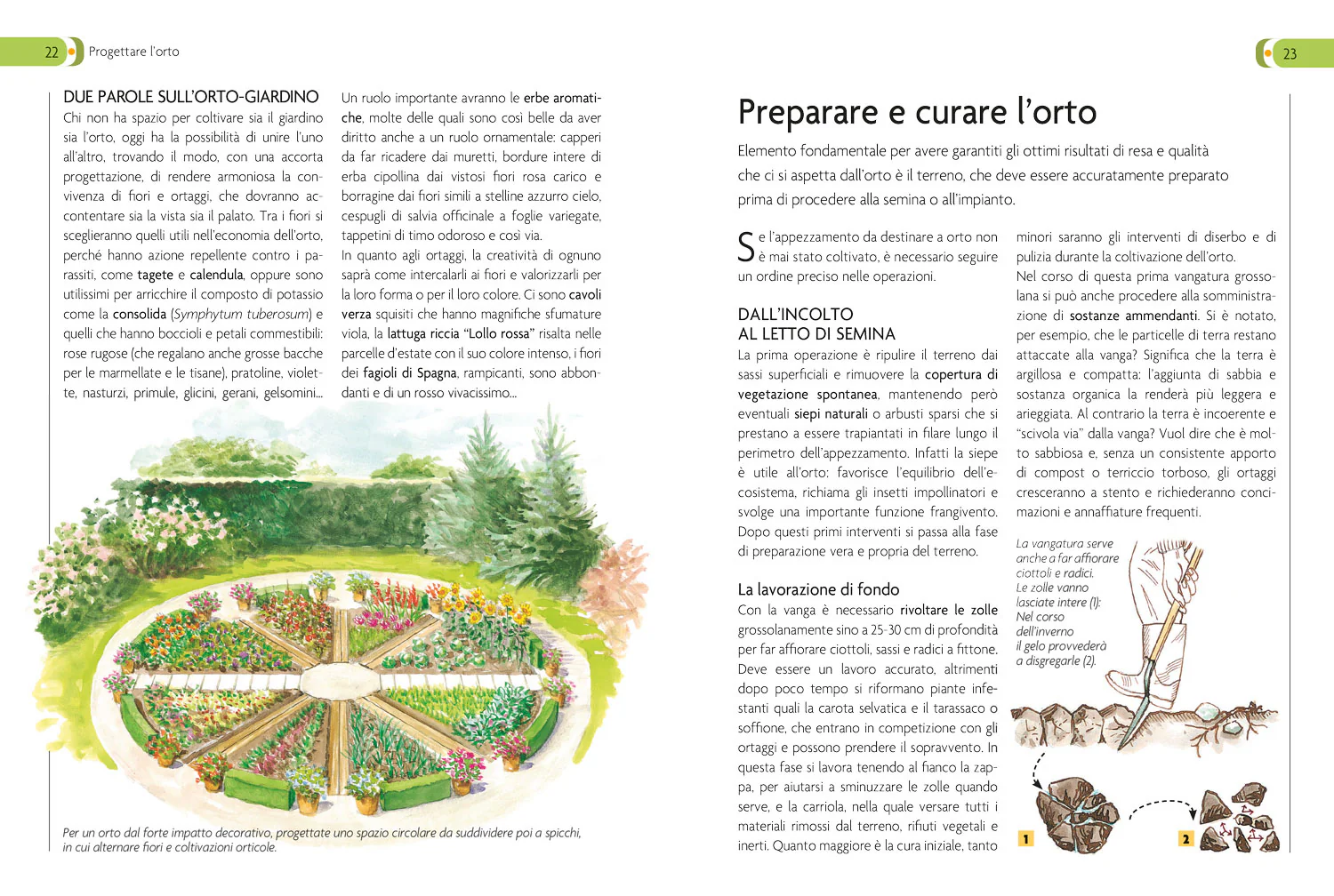 Immagine prodotto 3