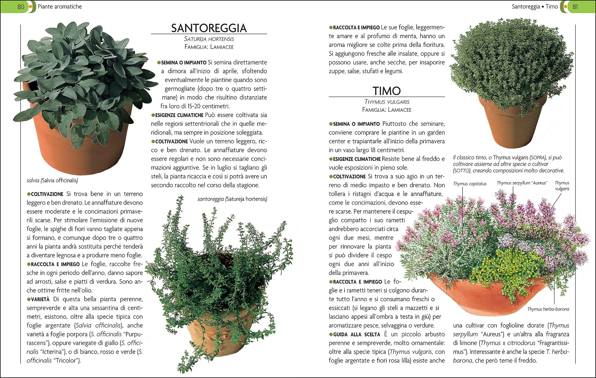 Immagine prodotto 5