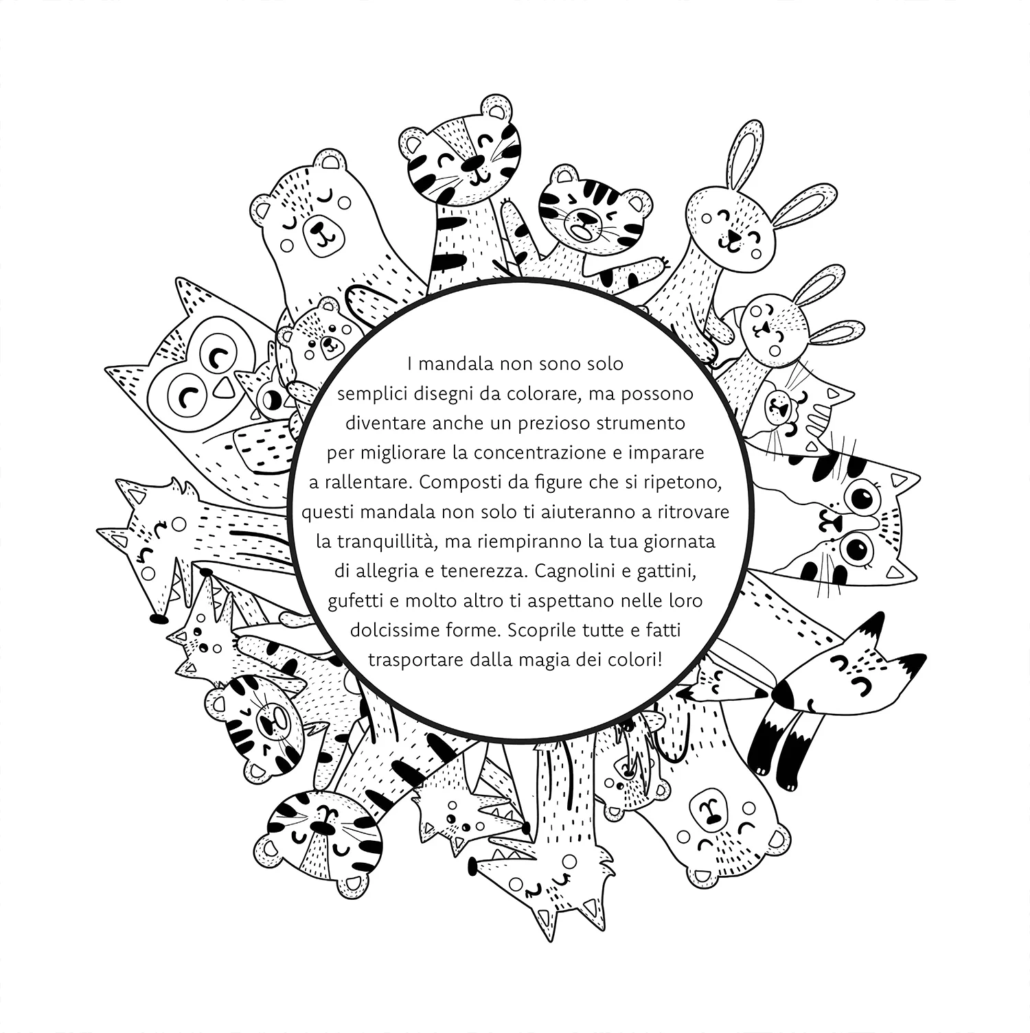 Immagine prodotto 3