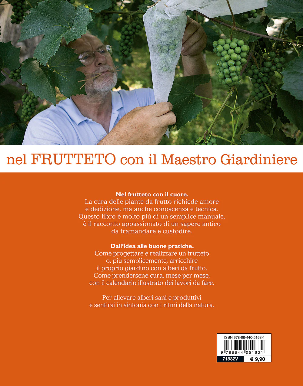 Immagine prodotto 2