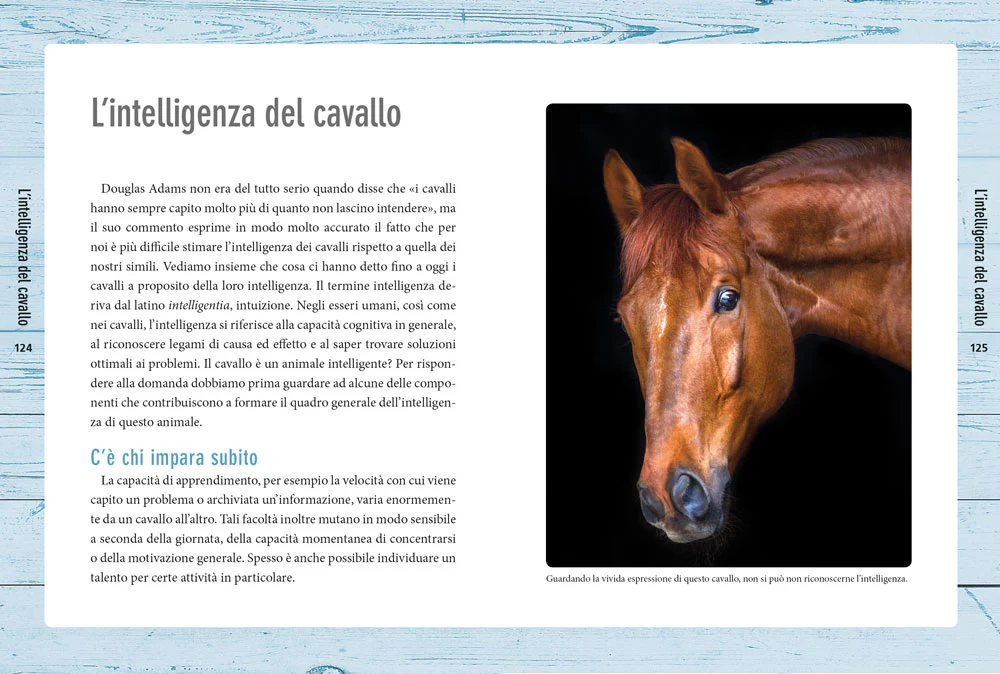 Immagine prodotto 5