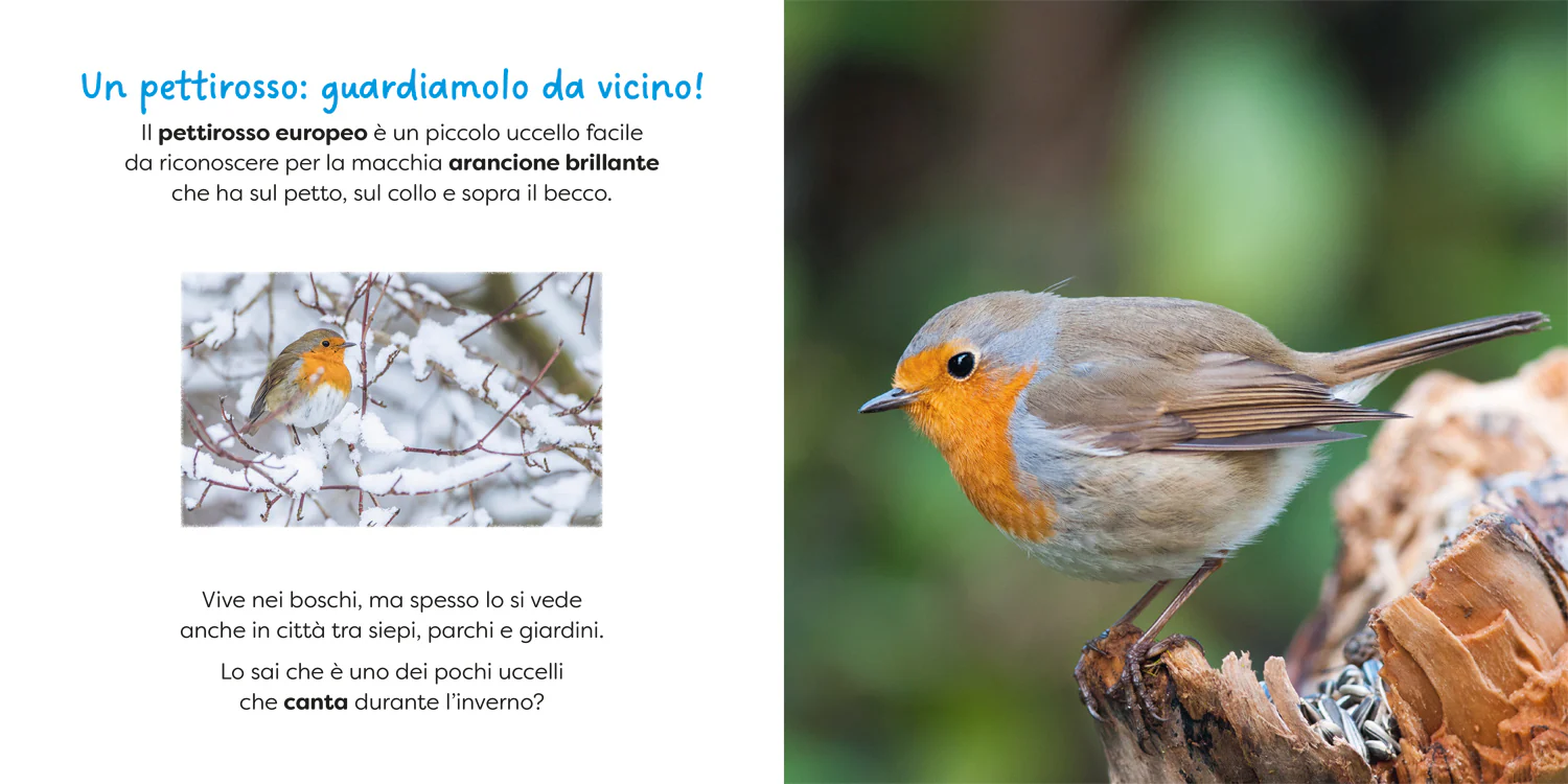 Immagine prodotto 3