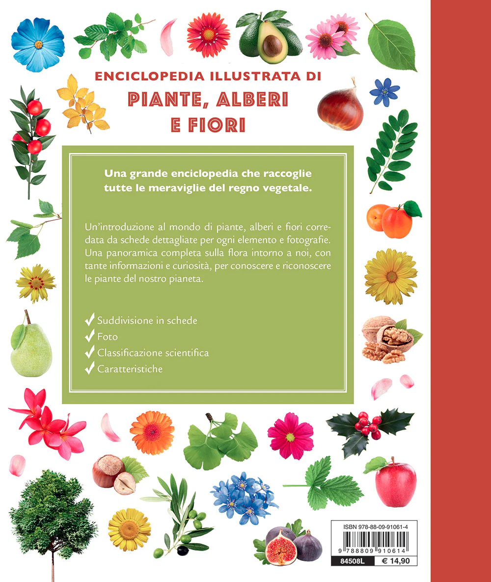 Immagine prodotto 2