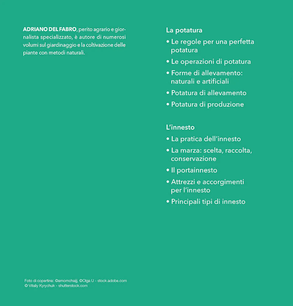 Immagine prodotto 3