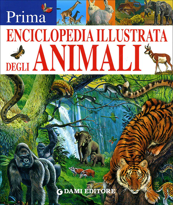 Immagine prodotto 1