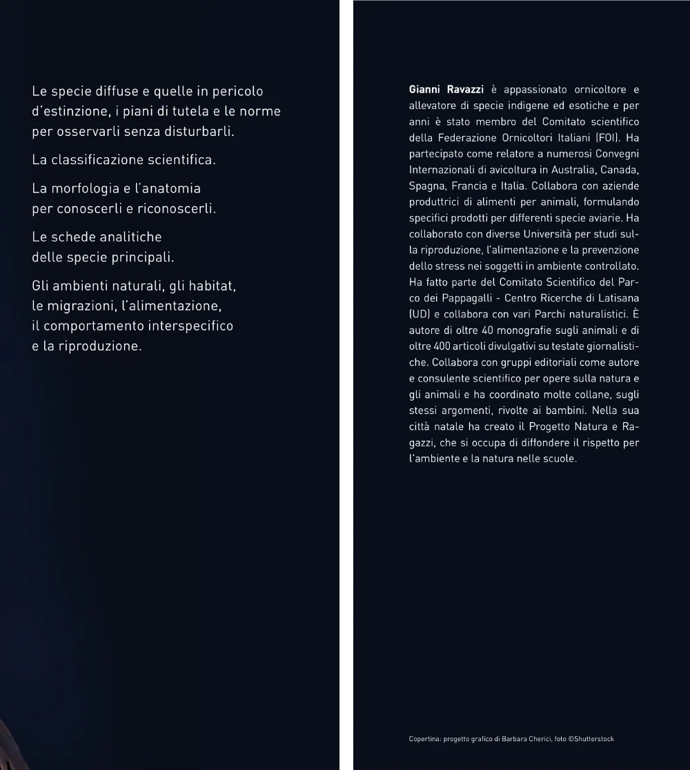 Immagine prodotto 3