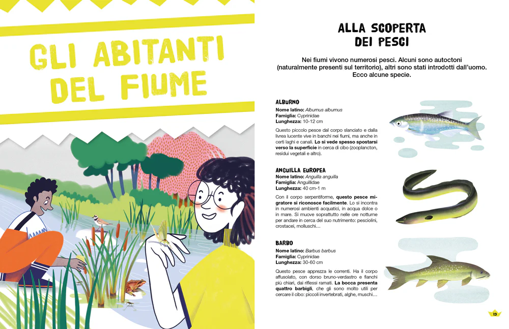 Immagine prodotto 3
