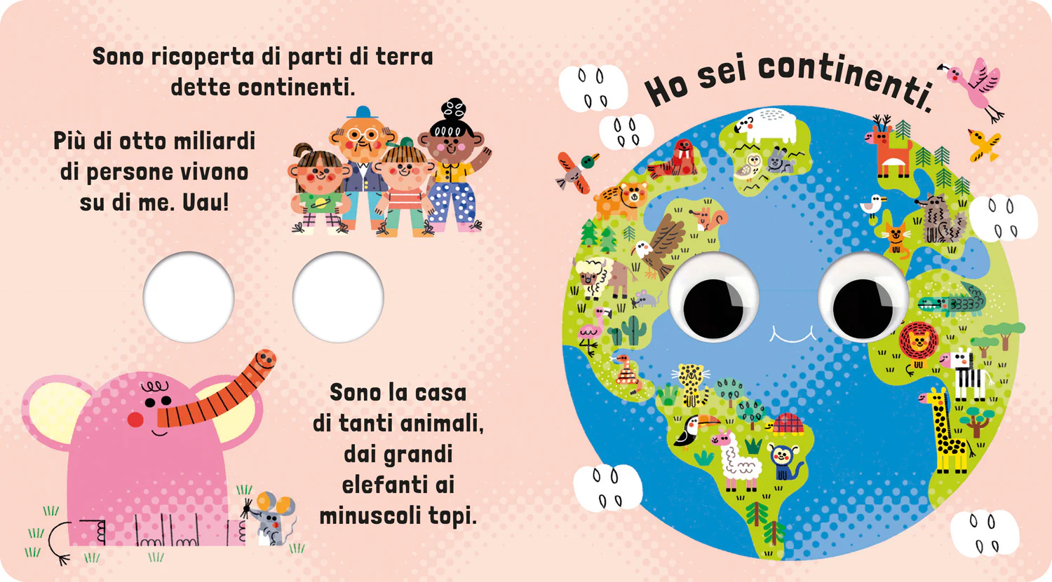 Immagine prodotto 5