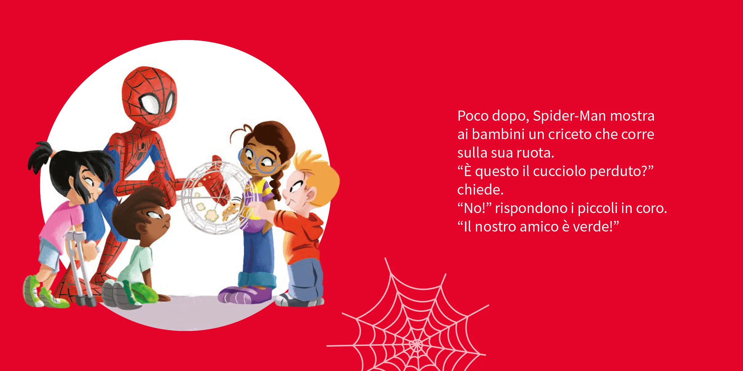 Immagine prodotto 4
