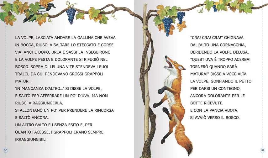 Immagine prodotto 4