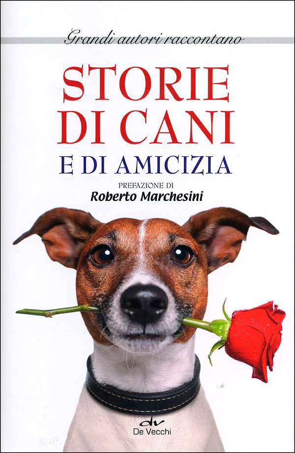 Immagine prodotto 1