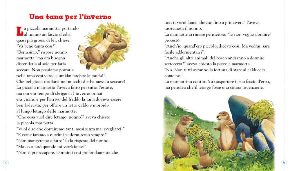 Immagine prodotto 3