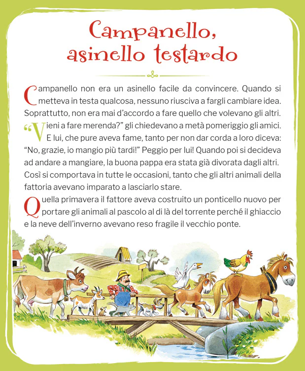 Immagine prodotto 4