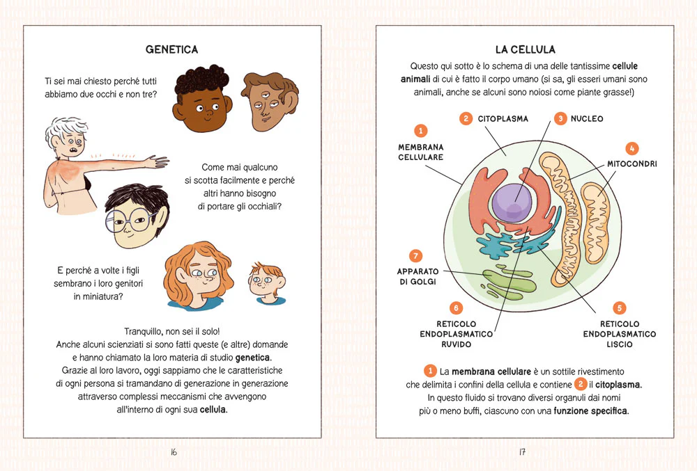 Immagine prodotto 4