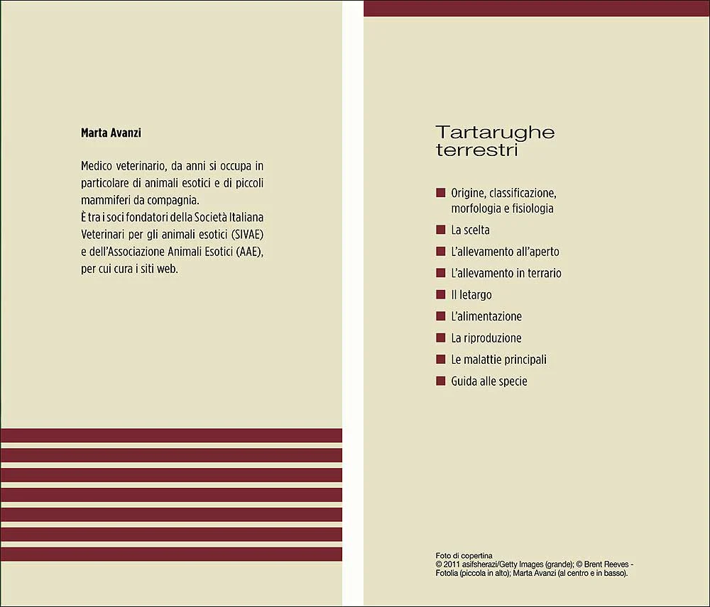 Immagine prodotto 3