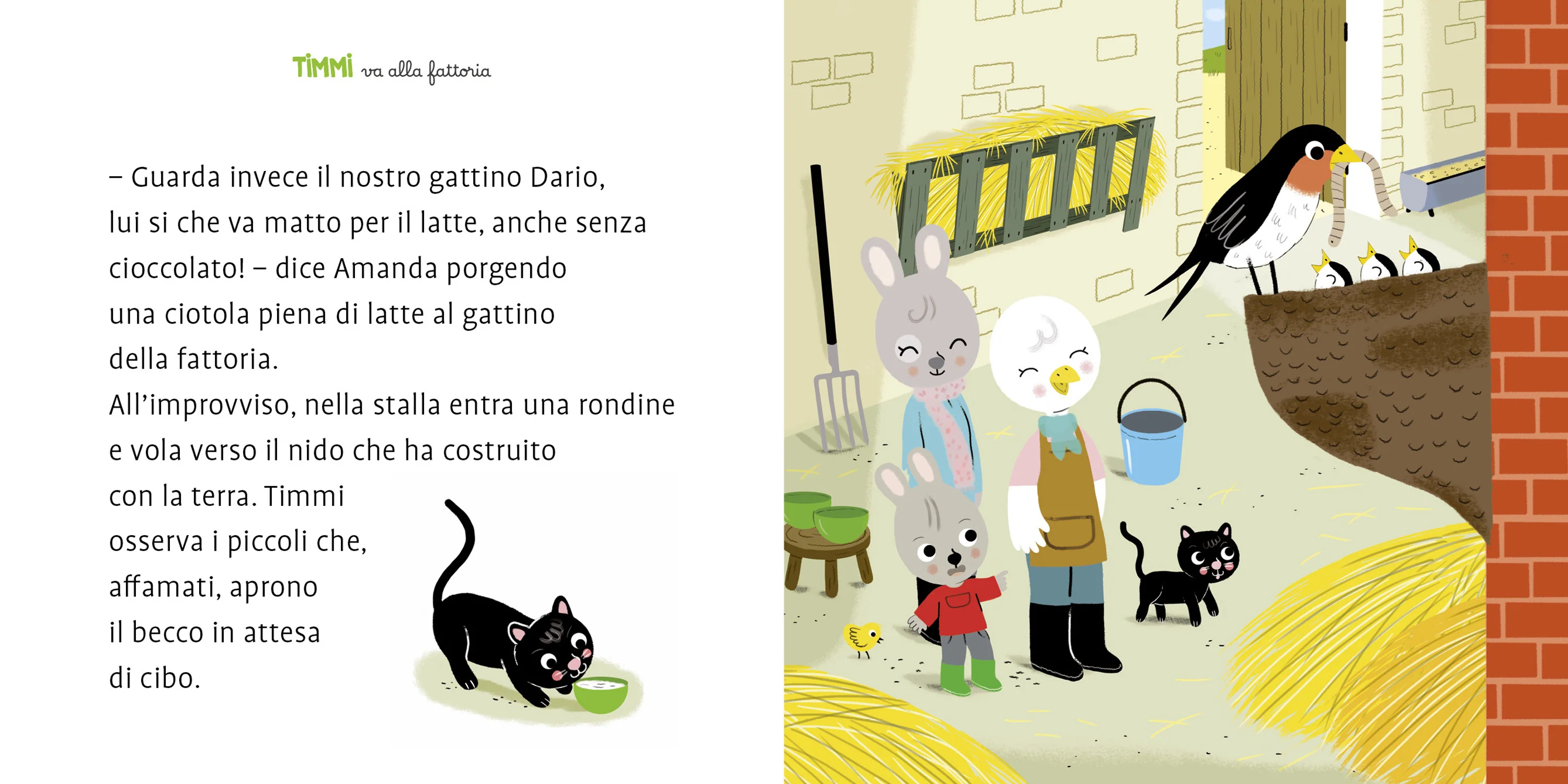 Immagine prodotto 4