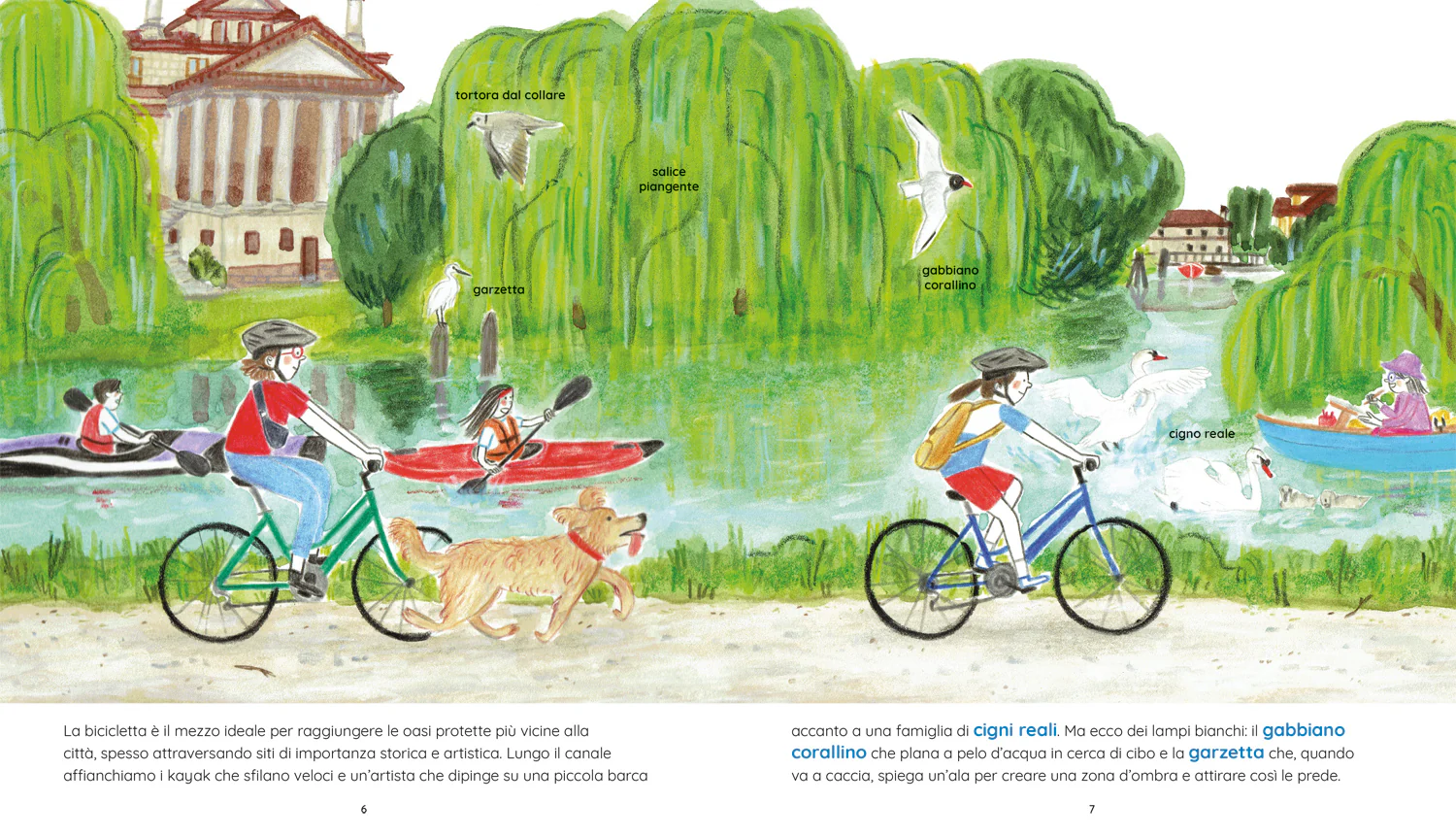 Immagine prodotto 4