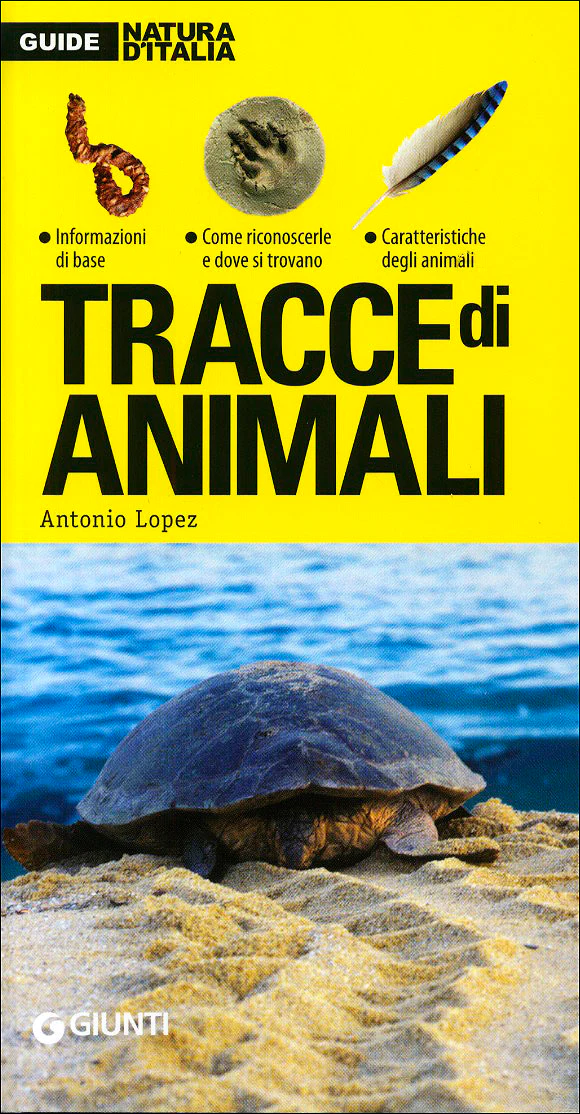 Immagine prodotto 1