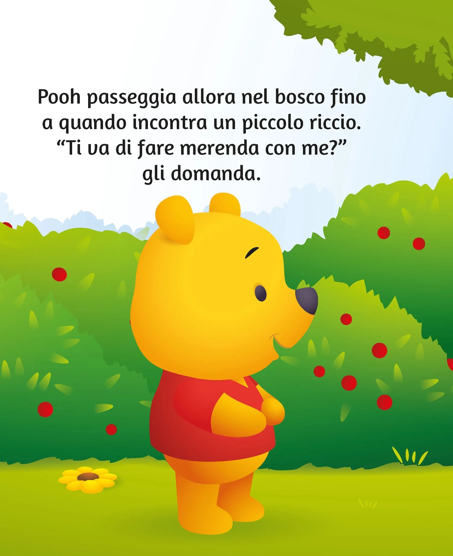 Immagine prodotto 5