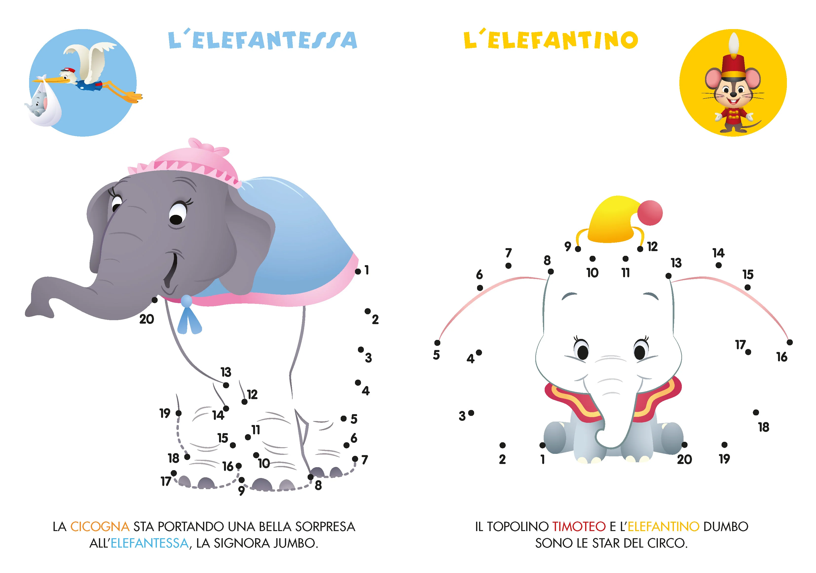 Immagine prodotto 4