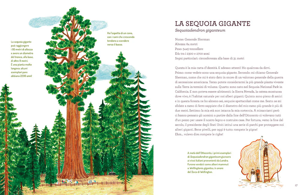 Immagine prodotto 4