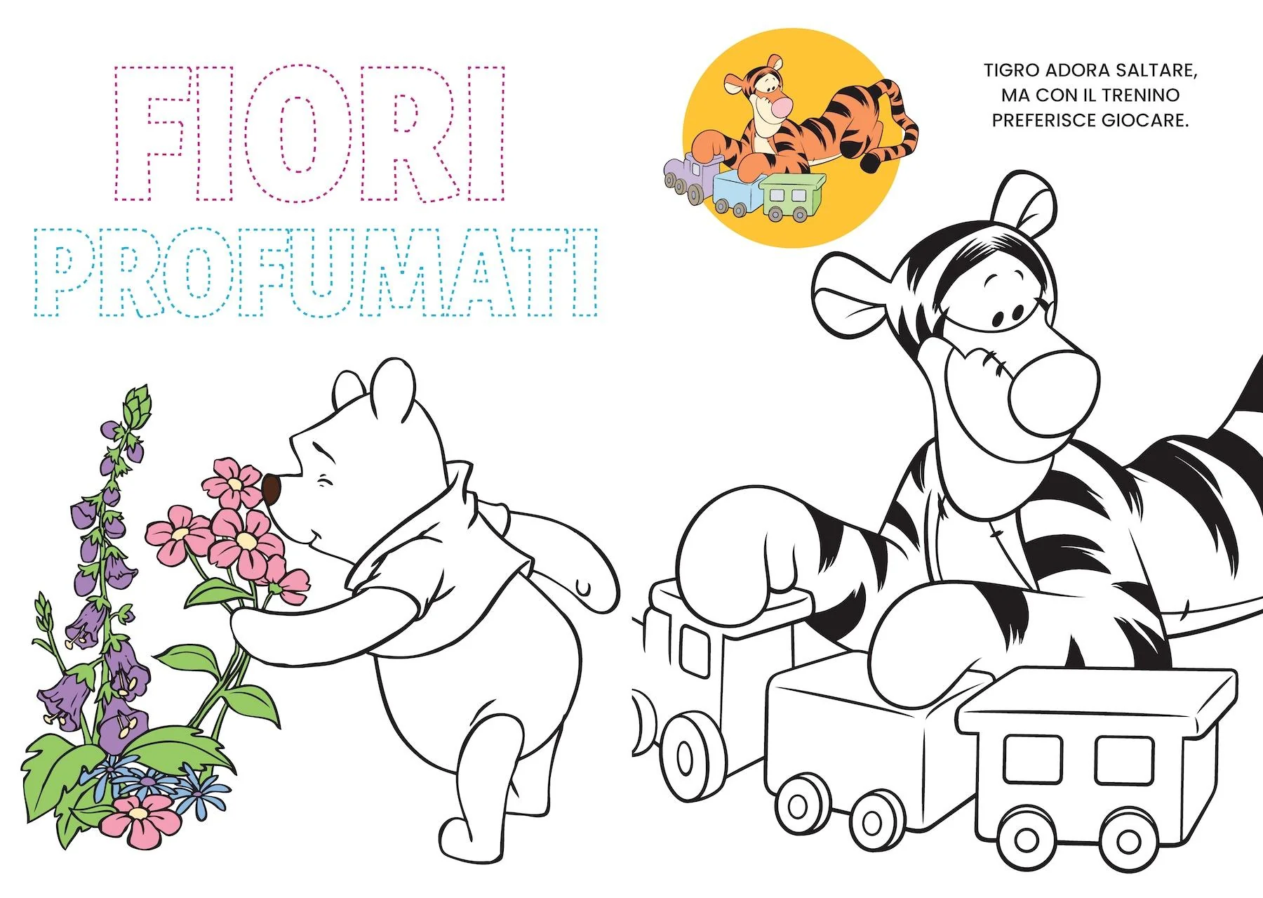 Immagine prodotto 4