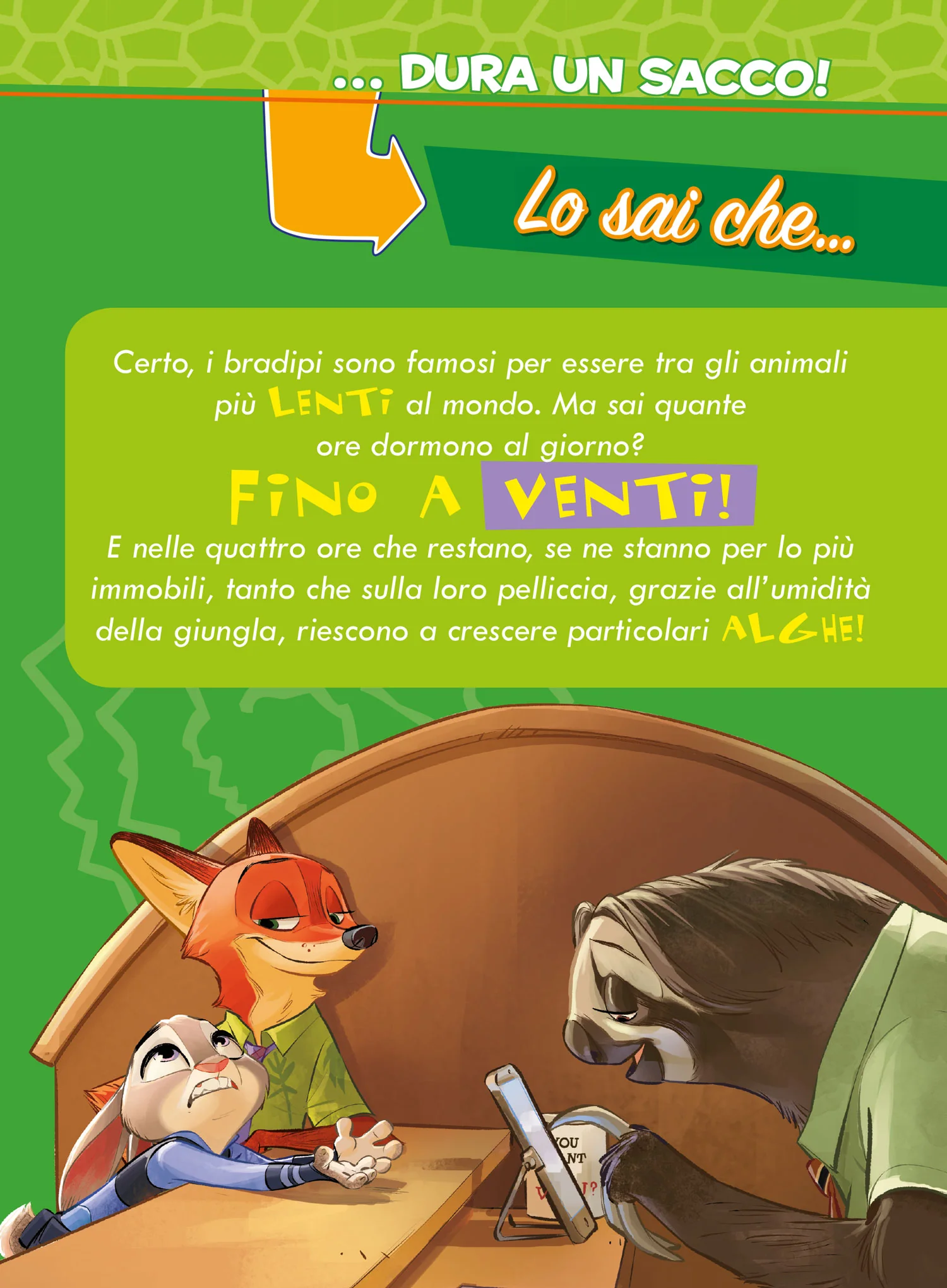 Immagine prodotto 6